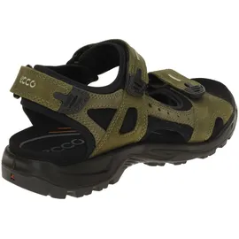 ECCO Offroad Herren braun 44
