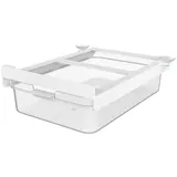 Rotho Kühlschrankschublade 2600 ml Transparent Klar