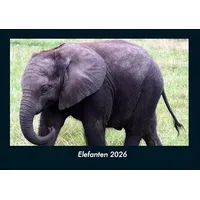 Vero Kalender Elefanten 2026 Fotokalender DIN A4 von Tobias