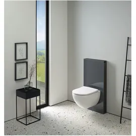 Geberit Monolith Plus BH 101cm, Fr. Gl. la., S. Alu SW-chrom