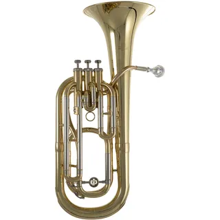 Roy Benson Bb-Bariton BH-301 (Hochpräzise 12,8 - 13,5 mm Bohrung, Ø 21 cm Messing Schallbecher, 3 Top Action Ventile, in einem leichtgewichtigen, transportfreundlichen Formetui)