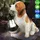 GLOBO 2er Set LED Solar Skulptulampe Aussen Leuchte Hund Garten Hund Tier Motiv Licht
