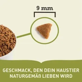 Acana Adult Homestead Harvest 4,5 kg