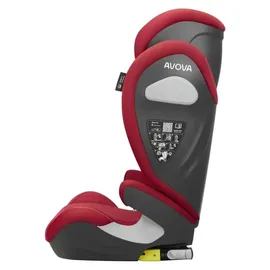 AVOVA Sora-Fix Maple Red