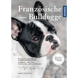 Französische Bulldogge