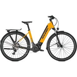 Raleigh Dundee 10 Gelb Modell Aktion