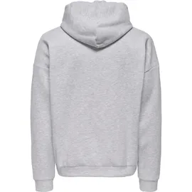 Only & Sons ONSCHASE REG ZIP HOOD Kapuzensweatshirt Herren Grau XXL