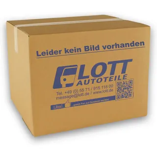 Volkswagen Lampenträger rechts 6Q6945258F