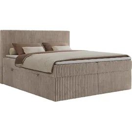 MKS Meble Boxspringbett 160 x 200 cm H3 Braun