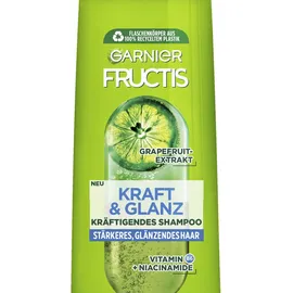 Garnier Shampoo Kraft & Glanz kräftigendes - glänzendes Haar