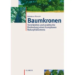 Baumkronen – Verständnis und praktische Bedeutung eines komplexen Naturphänomens