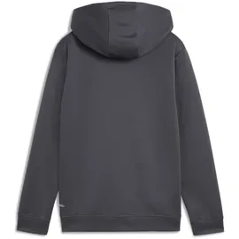 Puma Tad Galacticgray 152