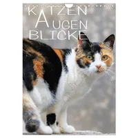 Calvendo KATZEN AUGEN BLICKE (Wandkalender 2026 DIN A4 hoch),
