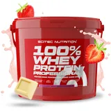 Scitec Nutrition 100% Whey Protein Professional Erdbeere-Weiße-Schokolade Pulver 5000 g