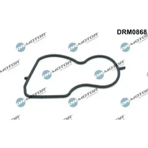 DR.MOTOR AUTOMOTIVE Dichtung, Unterdruckpumpe