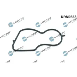 DR.MOTOR AUTOMOTIVE Dichtung, Unterdruckpumpe