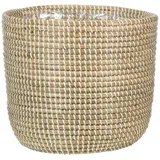 Scheurich Seegras 15 Ø 15 x 13 cm Weiß