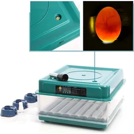 fudajo Flächenbrüter Terrarium