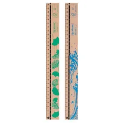 Herlitz 50033621, Schreibtisch-Lineal, Holz, Braun, 30 cm, 10 Stück(e)