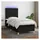 vidaXL Boxspringbett 100 x 200 cm Schwarz