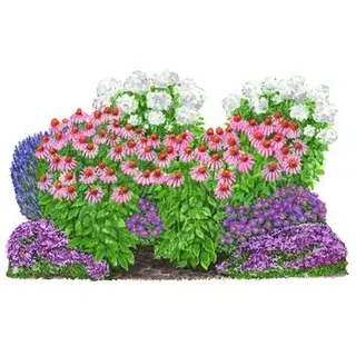 Stauden-Set Insektenparadies Biene, 12-teilig, Rosa, Rot, Lila, Blau, Weiß