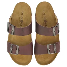 HAFLINGER Bio Andrea Braun 38