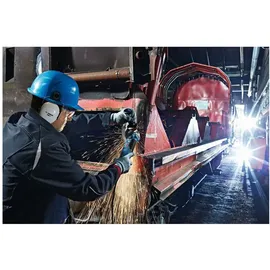 Bosch GWS 19-125 CIST Professional 060179S002