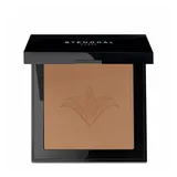 Stendhal Poudre Compacte Perfectrice - 9 g)