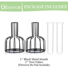 luxuskollektion 2er Set Mini Glasvasen Schwarz - Modernes Hydroponik Blumenvase für