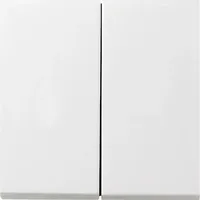 Gira Flächenschalter 0295112