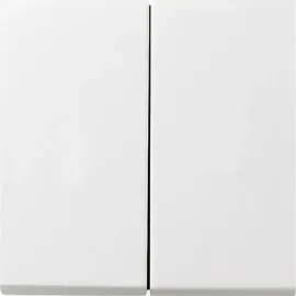 Gira Flächenschalter 0295112