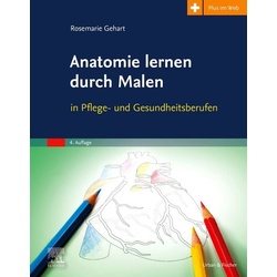 Anatomie lernen durch Malen