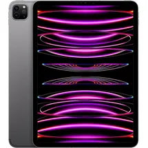Apple iPad Pro 11" (4. Generation 2022) 256 GB Wi-Fi + Cellular space grau