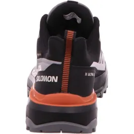 Salomon X Ultra 360 GTX Herren Quiet Shade/Black/Spice Route 47 1/3
