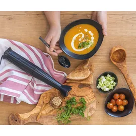 Alessi Plissé MDL10S B Stabmixer schwarz