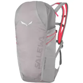 Salewa Ultra Train 22 l grey alloy