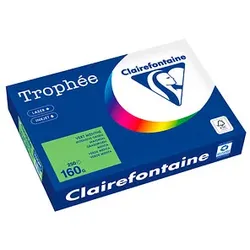 Clairefontaine Kopierpapier Trophée maigrün DIN A4 160 g/m2 250 Blatt