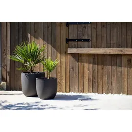 Capi Europe Blumentopf Tutch Ø 35 x 34 cm schwarz