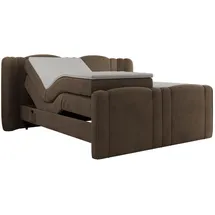 MKS Fortina 160 x 200 cm H4 Braun