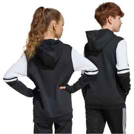 adidas Squadra 25 Black 116