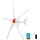 Vevor 800W 12V Horizontale Windkraftanlage Windgenerator mit MPPT & PWM, 5 Rotorblätter, 3-Phasen-Wechselstrom, IP67 & Überladeschutz, Wind- & Solar-Hybridregler, Windturbine für Wohnhaus RV Marine