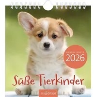 ArsEdition Wandkalender Süße Tierkinder 2026