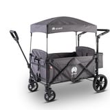 elvent® Allrounder City Bollerwagen - faltbar mit Dach | Sitzpolster, Hecktasche, Feststellbremse, 5-Punkt-Gurt I 2 Kinder (Grau)