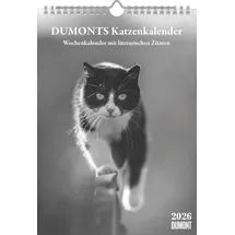 Dumont Kalenderverlag DUMONTS Katzenkalender