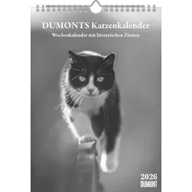 Dumont Kalenderverlag DUMONTS Katzenkalender