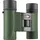 Kowa SV II 8x25 grün