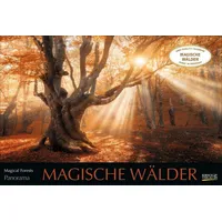 Korsch Magische Wälder 2025