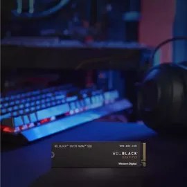 Western Digital Black SN770 500 GB M.2 WDS500G3X0E