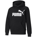 Puma 586965_01_2-3Y Sportpullover/-Hoodie