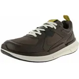 ECCO Sneaker Biom 2.2 GTX (Premium-Leder, wasserdicht) dunkelbraun Herren